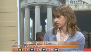 Daytime screen shot - Digital Spring Cleaning