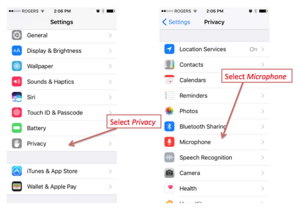 iPhone Privacy settings Microphone