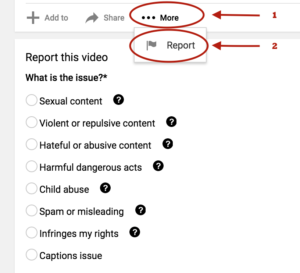 Troll - youtube report on video